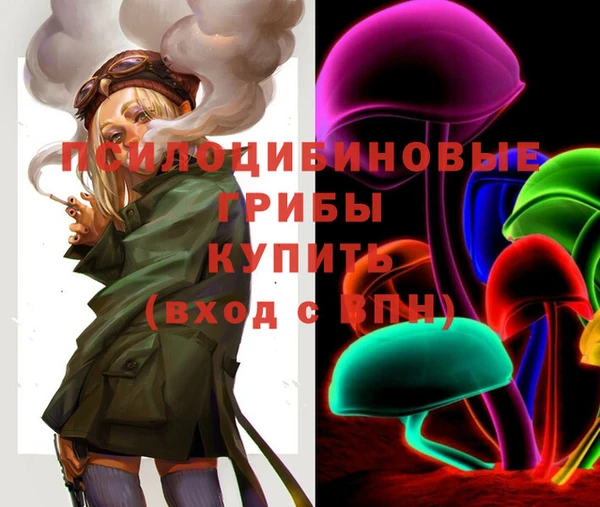 тгк Алексин