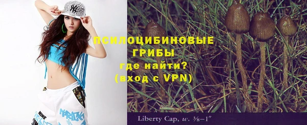 тгк Алексин