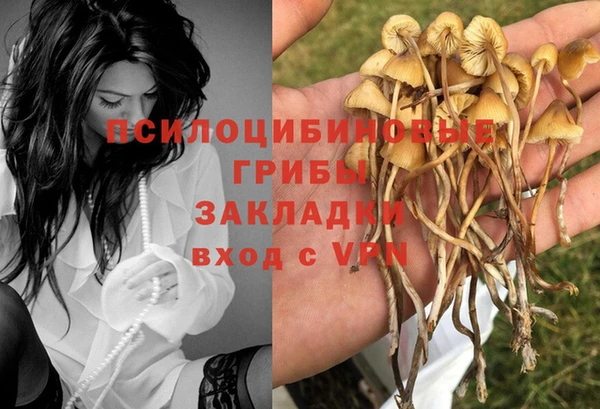тгк Алексин