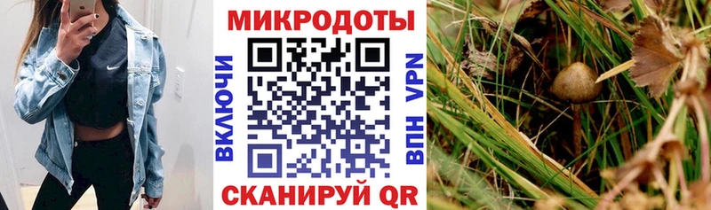 что такое Черемхово дарк нет как зайти Псилоцибиновые грибы ЛСД