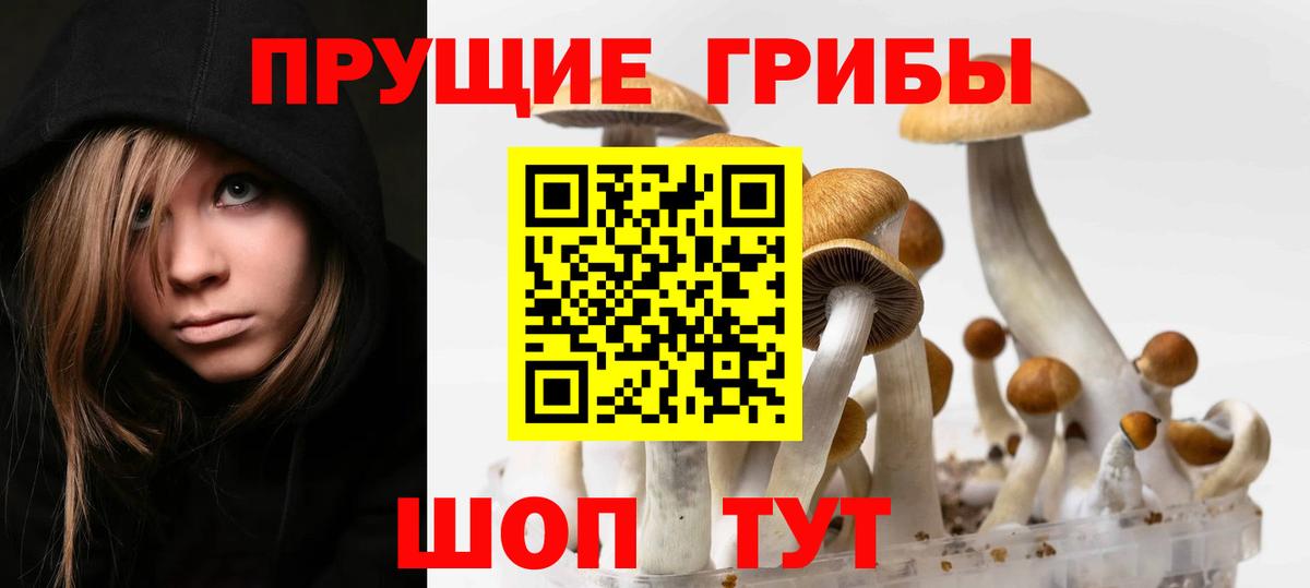 Галлюциногенные грибы Magic Shrooms  Вход с VPN  Черемхово 